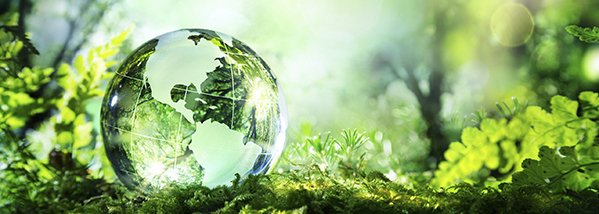 Environmental Compliance